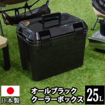 シンプルさを追求したオールブラックカラー！クーラーボックス 25L