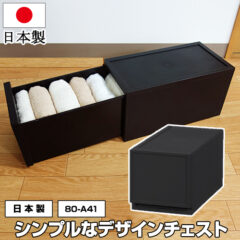 マットブラックの1段収納チェスト