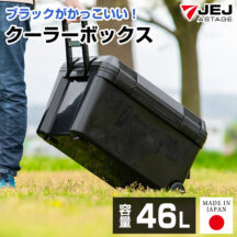 キャンプや釣りのお供に！オールブラック クーラーボックス 46L